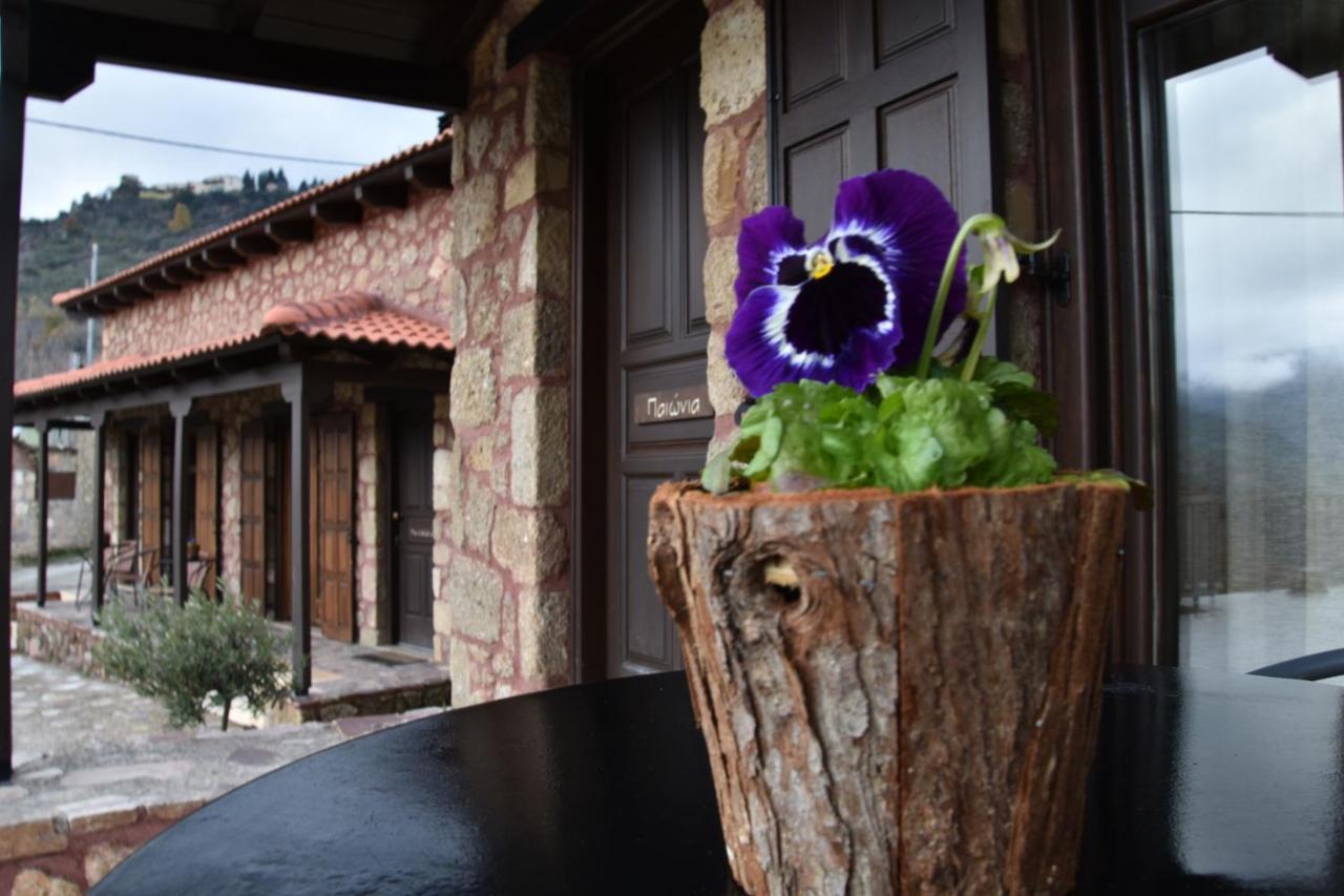 Paliokastro Guesthouse Kato Sinikia Trikalon Extérieur photo